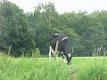 Chris en Toine (114)